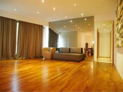 Amaryllis Ville (D11), Condominium #161930352